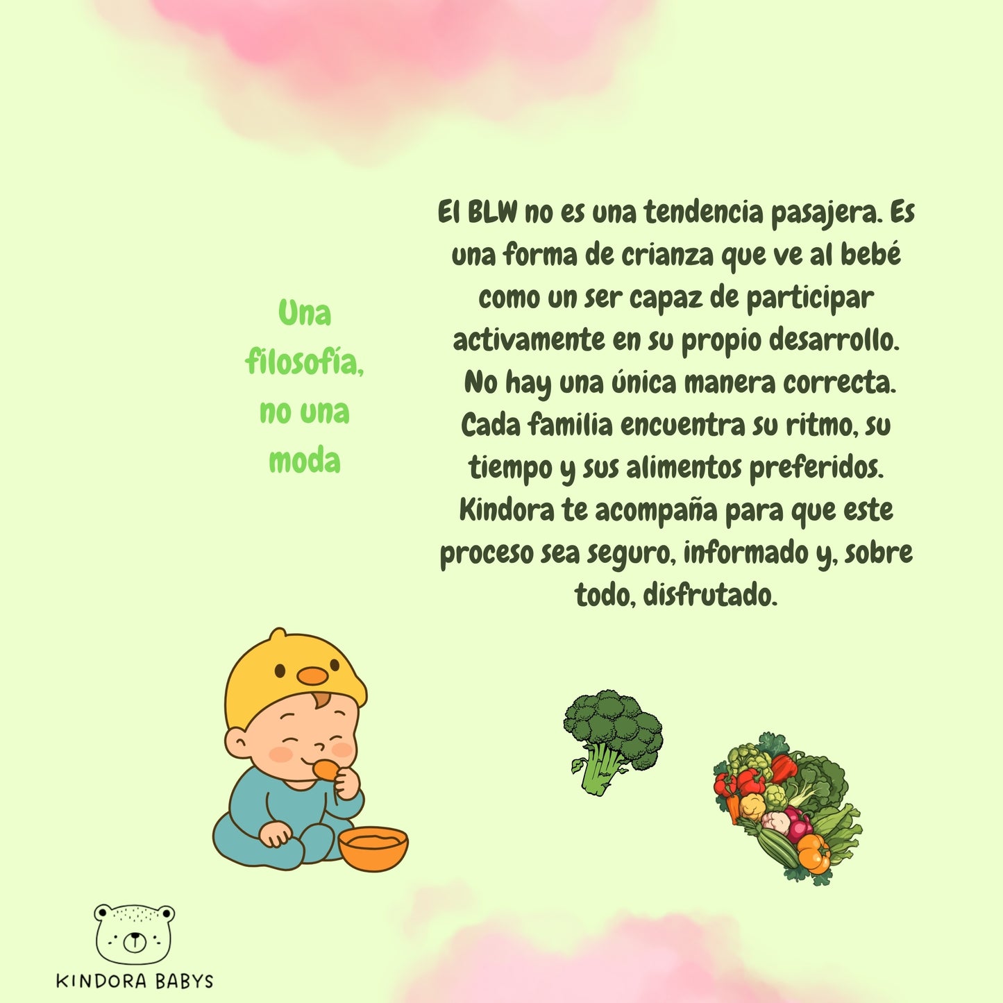Kindora Babys - Guía BLW para bebes y padres primerizos
